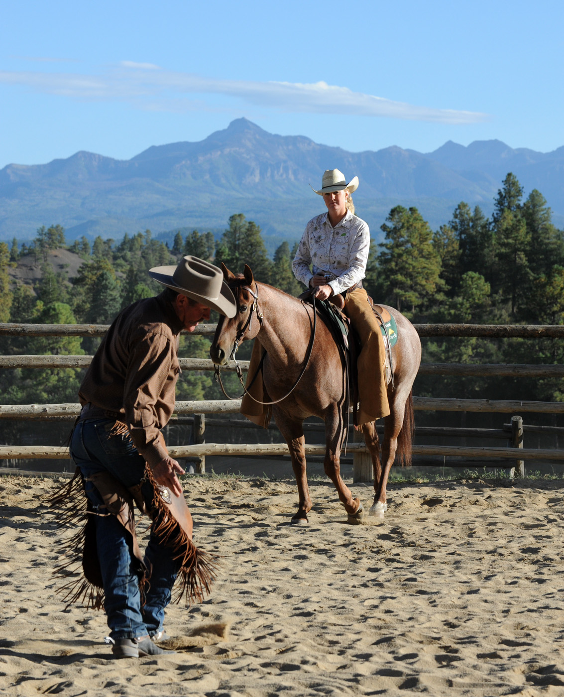 Training Tip: Backwards & Sideways