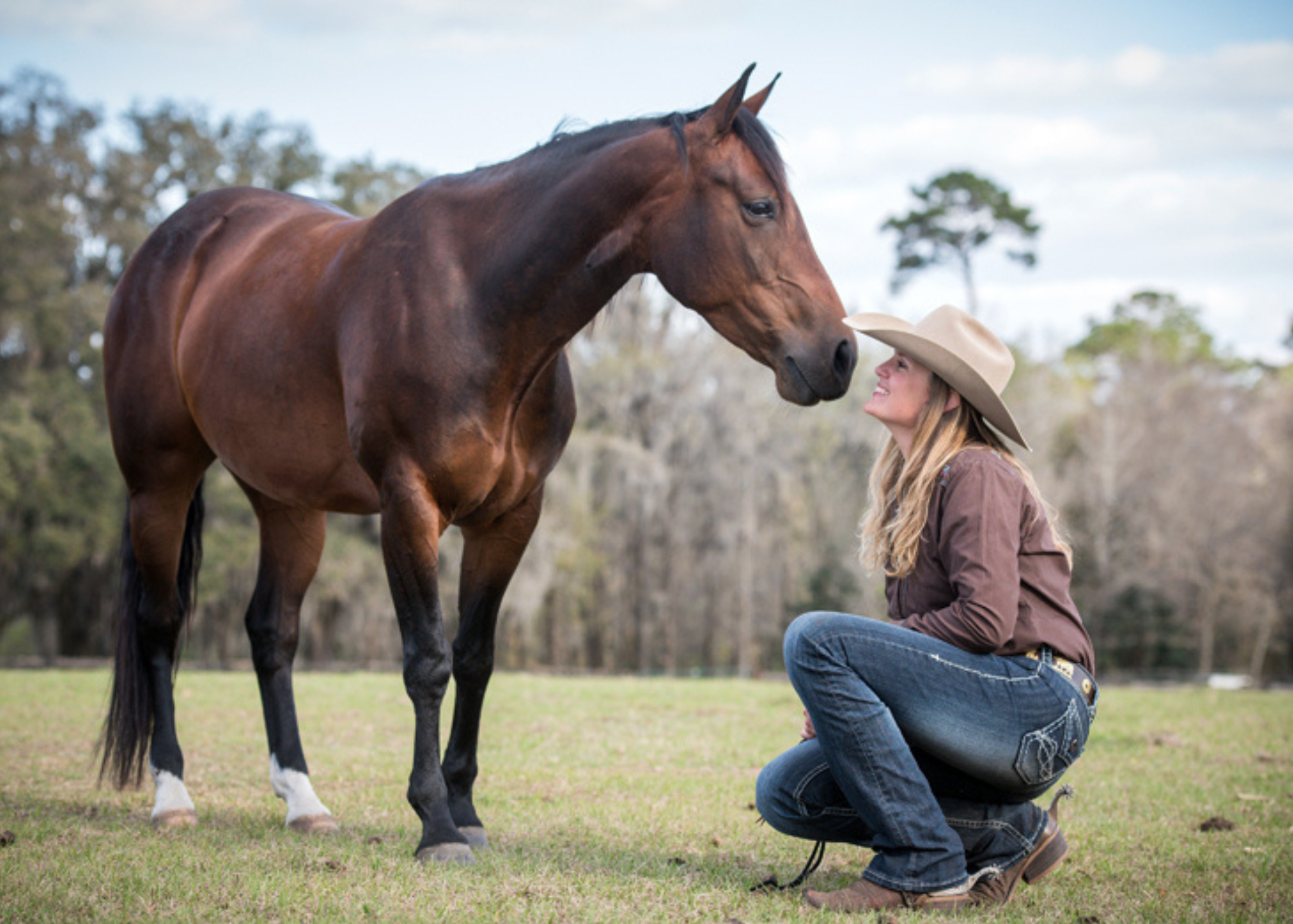 Elli Experience List