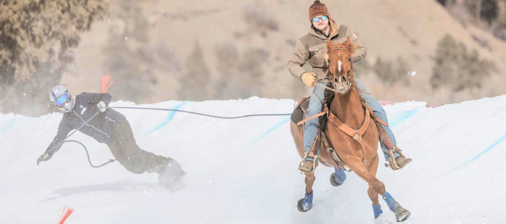 Skijoring 2025