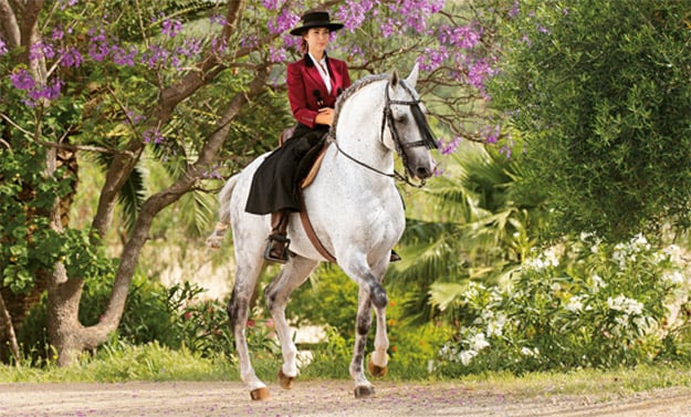 Kenzie Doma Clásica