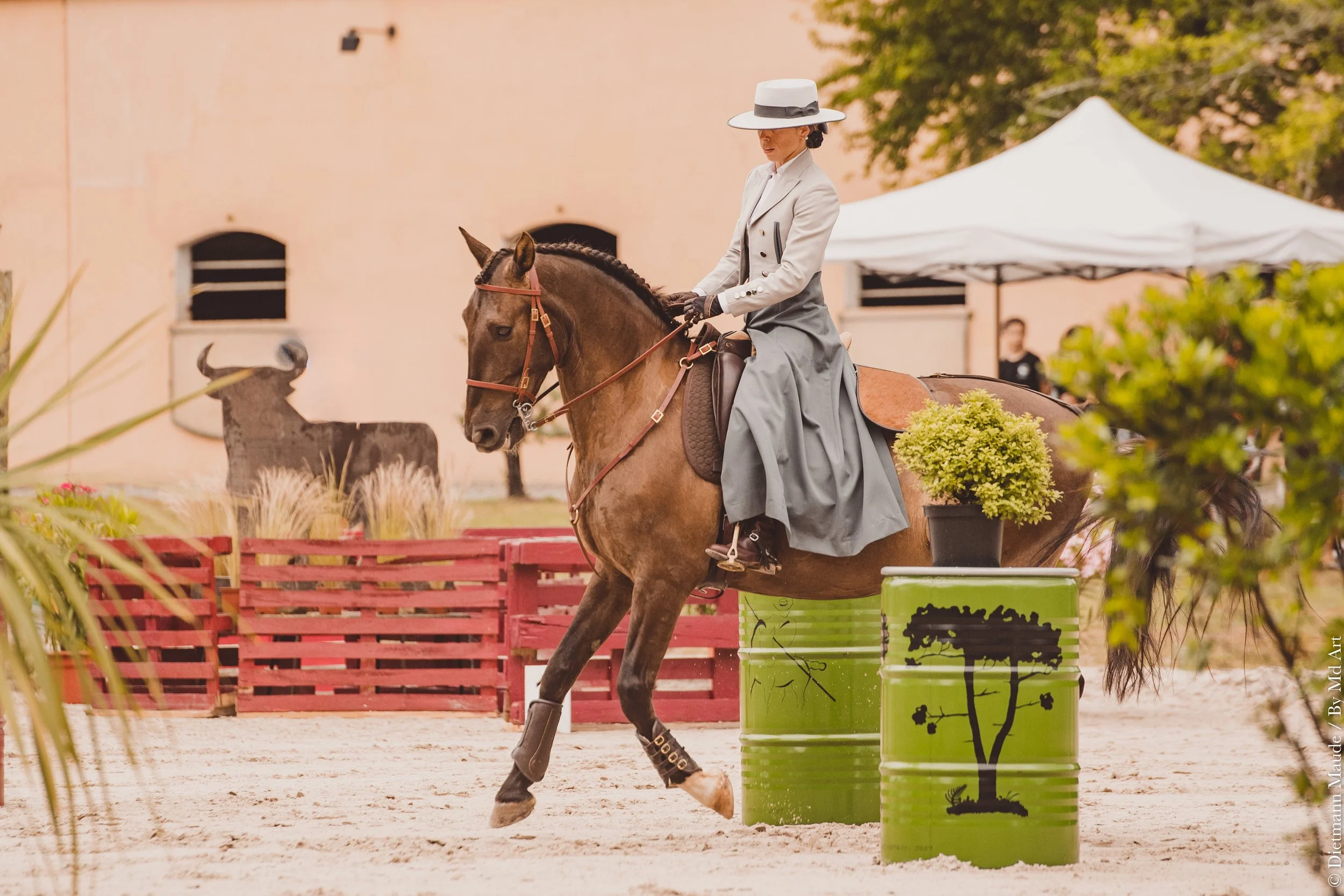 WORKING EQUITATION 2