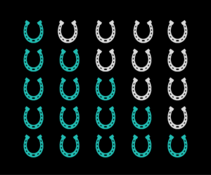 Rating System Horseshoes
